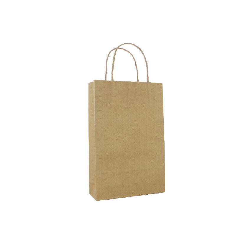 Eco-friendly kraft paper carry bag with twisted cotton handles – Snap Pack Australia