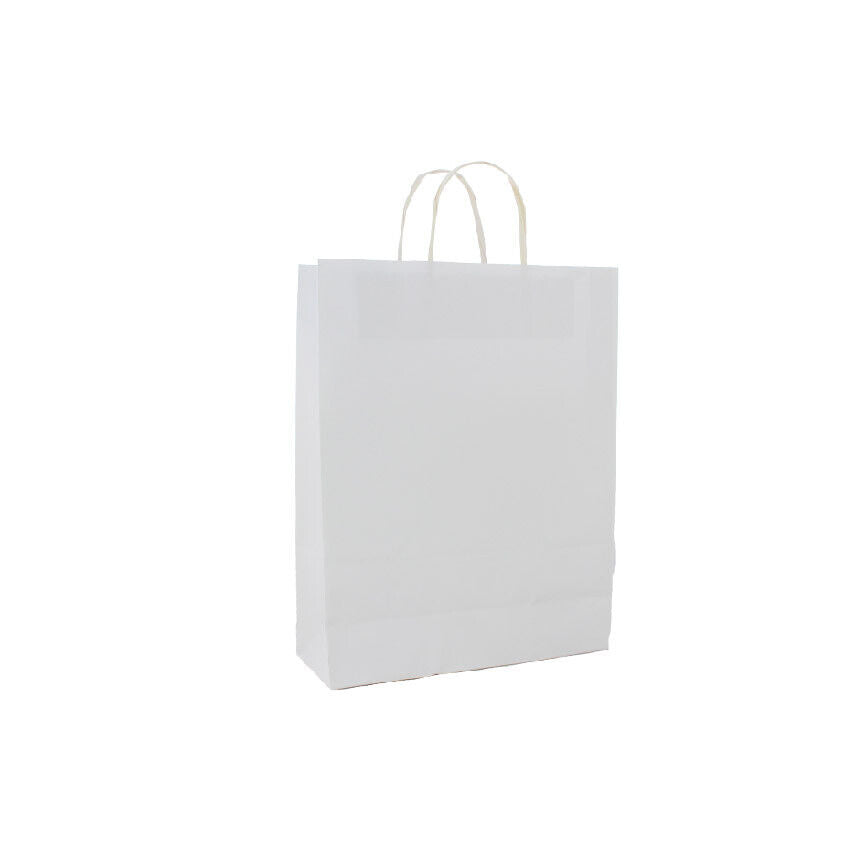 Eco-friendly white kraft paper carry bag with twisted cotton handles – Snap Pack Australia
