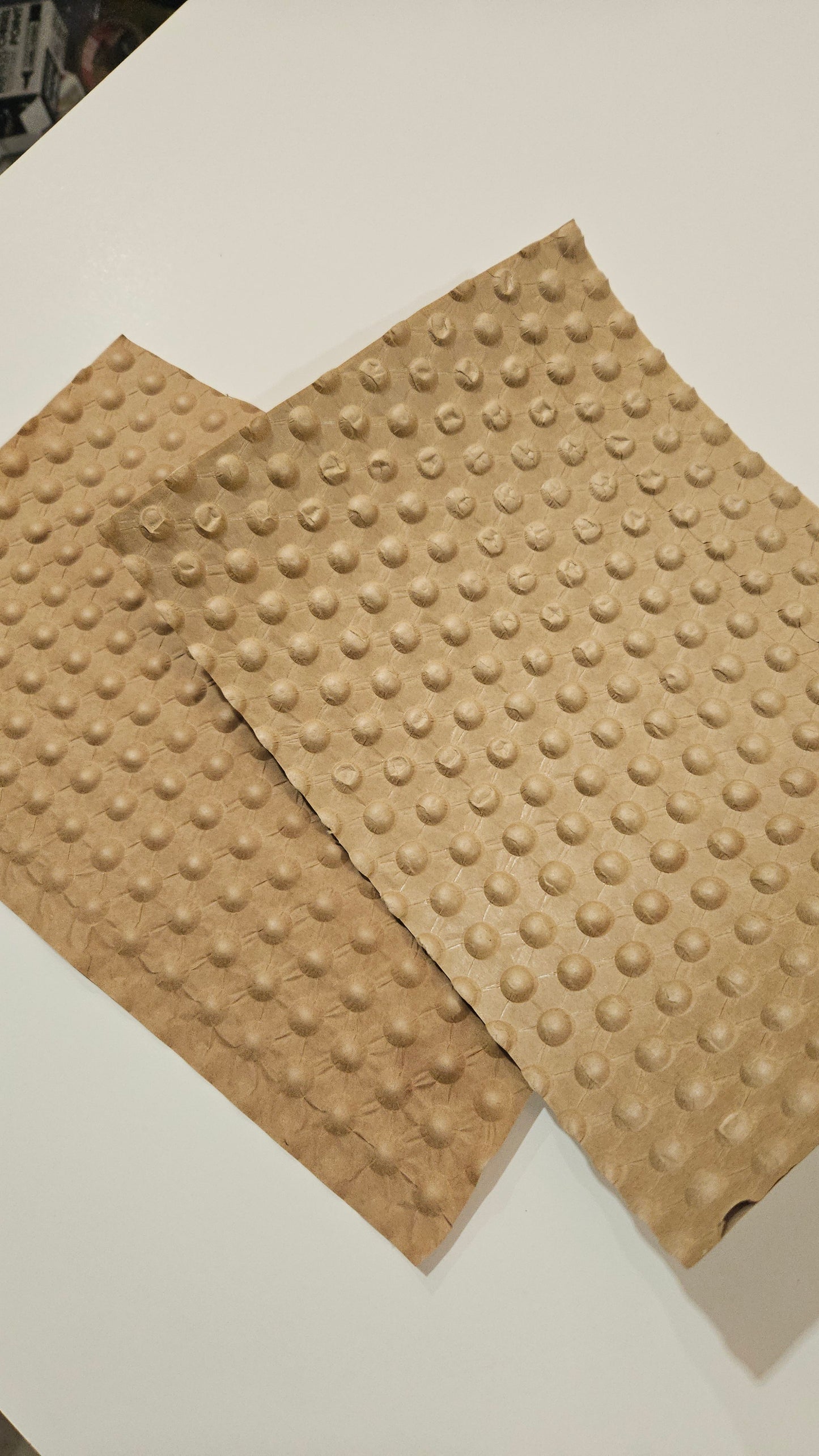 Paper Bubble Wrap (PapairWrap) | Eco-Friendly Packaging