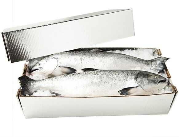 Insulated cardboard boxes for frozen food transport australia