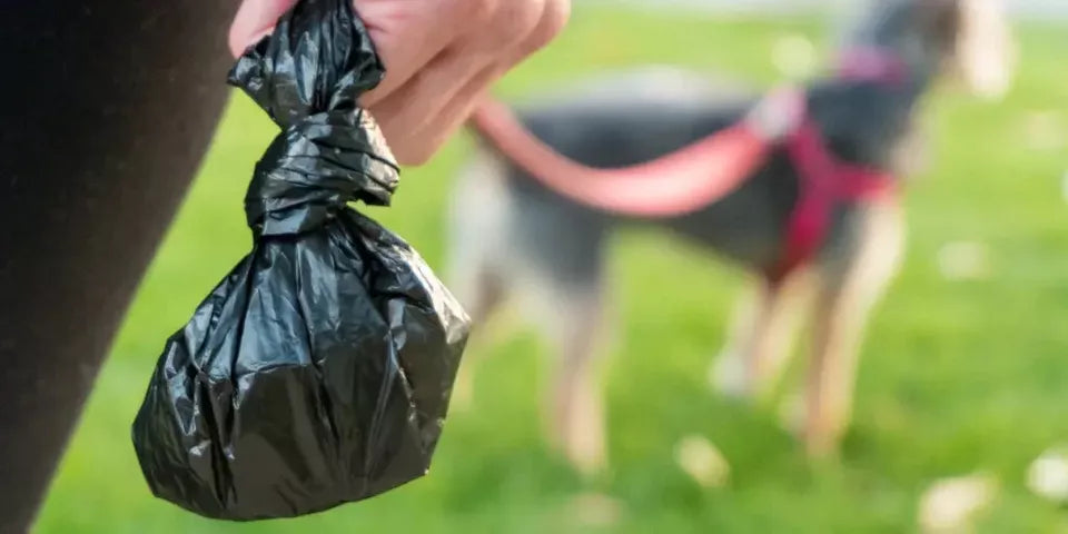 Landfill biodegradable dog litter bags Australia